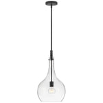 Ziggy 12" Wide Black with Clear Shade Mini Pendant