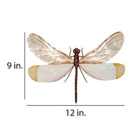 Eangee Dragonfly 12"W White and Brown Capiz Shell Wall Decor