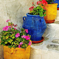 Bright Pots 24" Square Indoor-Outdoor Giclee Wall Art