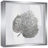 Leaf in Silver 16" Square Framed Wall Art