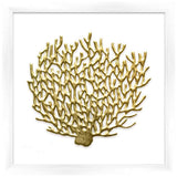 Gold Leafed Coral 16" Square Framed Wall Art