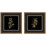 Dark Florals 18" Square 2-Piece Framed Giclee Wall Art Set