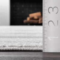 Contemporary Area Rug, Grey