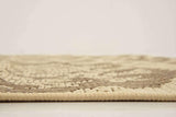 Indoor/Outdoor Botanical Collection Floral Abstract Transitional Flatweave Beige /Brown Area Rug