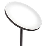 Taylor LED Torchiere Floor Lamp with Side Light