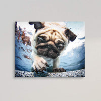 Pug 23 1/4"W Free Floating Tempered Glass Graphic Wall Art
