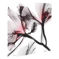 Coral Luster 2 24" Square Tempered Glass Graphic Wall Art