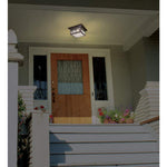 French Garden 11" Wide Bronze Indoor-Outdoor Ceiling Light