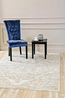 Persian Distressed Beige Area Rugs