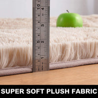 Velvet Indoor Fluffy Extra Comfy Soft Shag Area Rug