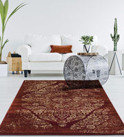 Persian Distressed Burgundy Area Rugs