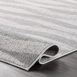 Contemporary Area Rug, Grey