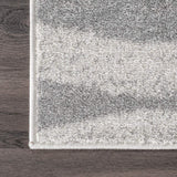 Contemporary Area Rug, Grey