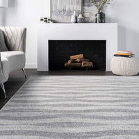 Contemporary Area Rug, Grey