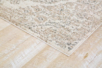 Persian Distressed Beige Area Rugs