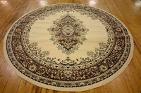 Traditional ivory Soft Area Rug