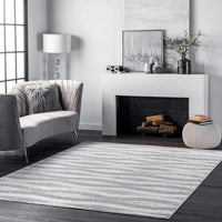 Contemporary Area Rug, Grey