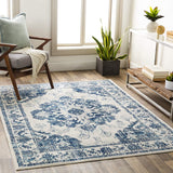 Delney Blue Soft Area Rug