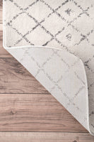 Premium Transitional Vintage Ivory Gray Area Rugs