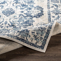 Delney Blue Soft Area Rug