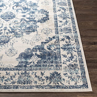 Delney Blue Soft Area Rug