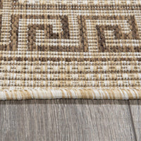 Indoor/Outdoor Bordered Runner Rug
