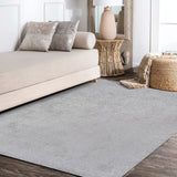 Haze Solid Low-Pile Red Soft Area Rug