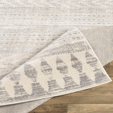 Aveline Soft Area Rug Light Gray