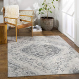 Antioch Soft Area Rug Grey