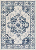 Delney Blue Soft Area Rug