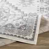 Dagmara Soft Area Rug Light Gray
