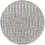 Casual Transitional Indoor Outdoor Flatweave Light Gray Area Rug