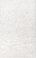 Aydin Plush Shag Mingled Gray/Ivory Soft Area Rug