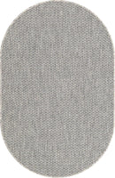 Casual Transitional Indoor Outdoor Flatweave Light Gray Area Rug