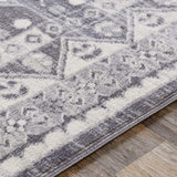 Dagmara Soft Area Rug Medium Gray