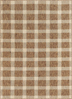 Freja Brown Indoor/Outdoor Flat Weave Pile Buffalo Check Pattern Area Rug