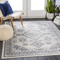Dagmara Soft Area Rug Light Gray