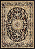 Medallion Black Oriental Area Rug