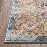 Roslind Bohemian Vintage Pastel Oriental Medallion Pattern Area Rug