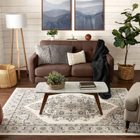 Scafa Beige & Grey Tribal Medallion Area Rug