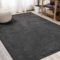 Haze Solid Low-Pile Red Soft Area Rug
