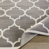 Gray/Grey White Area Rug