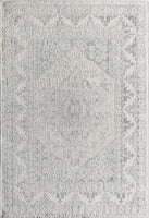 Gallagher GL30A Grey Mist Vintage Transitional Light Gray Soft Area Rug