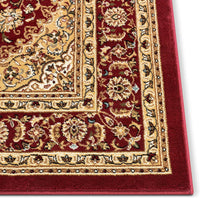 Persian Floral Traditional Medallion Red Oriental Soft Area Rug