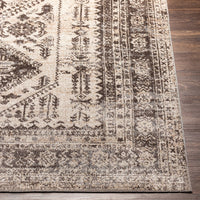 Machine Washable Traditional Diamond Area Soft Rug