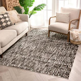 Beverly Anthracite Modern Vintage Distressed soft Area Rug