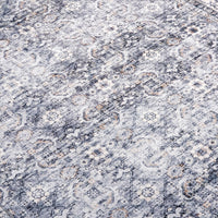 Distressed Transitional Border Machine Washable Area Rug