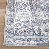 Distressed Transitional Border Machine Washable Area Rug