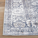 Distressed Transitional Border Machine Washable Area Rug