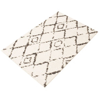 Modern & Contemporary Pink Area Rug Shag